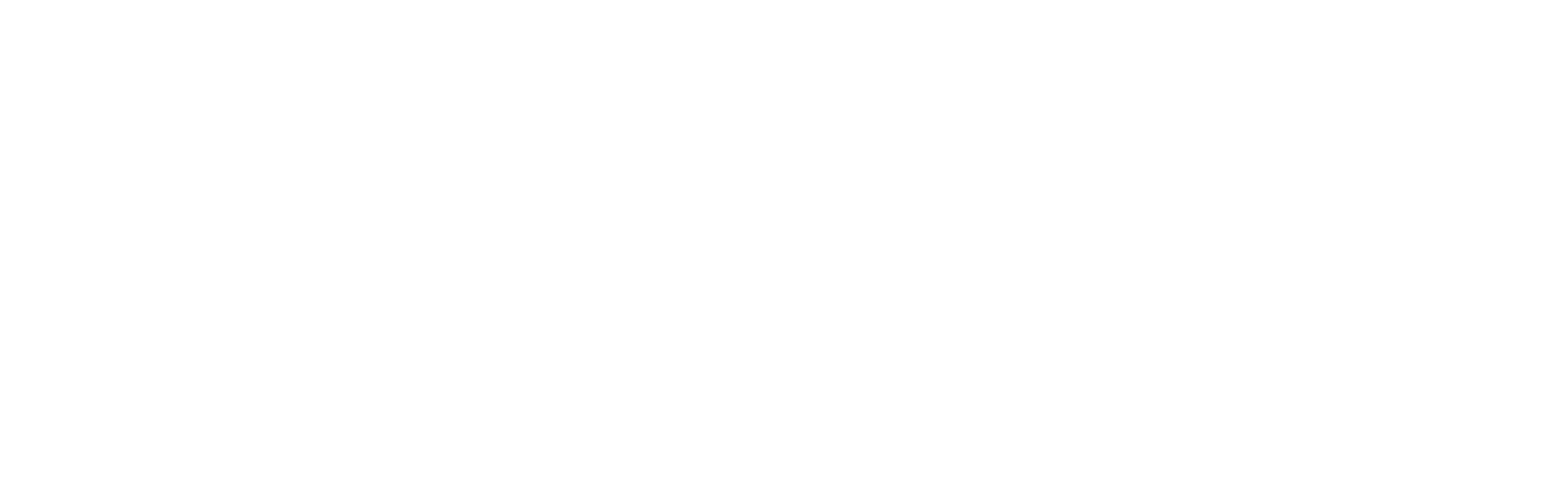 Beermann LLP Est. 1958